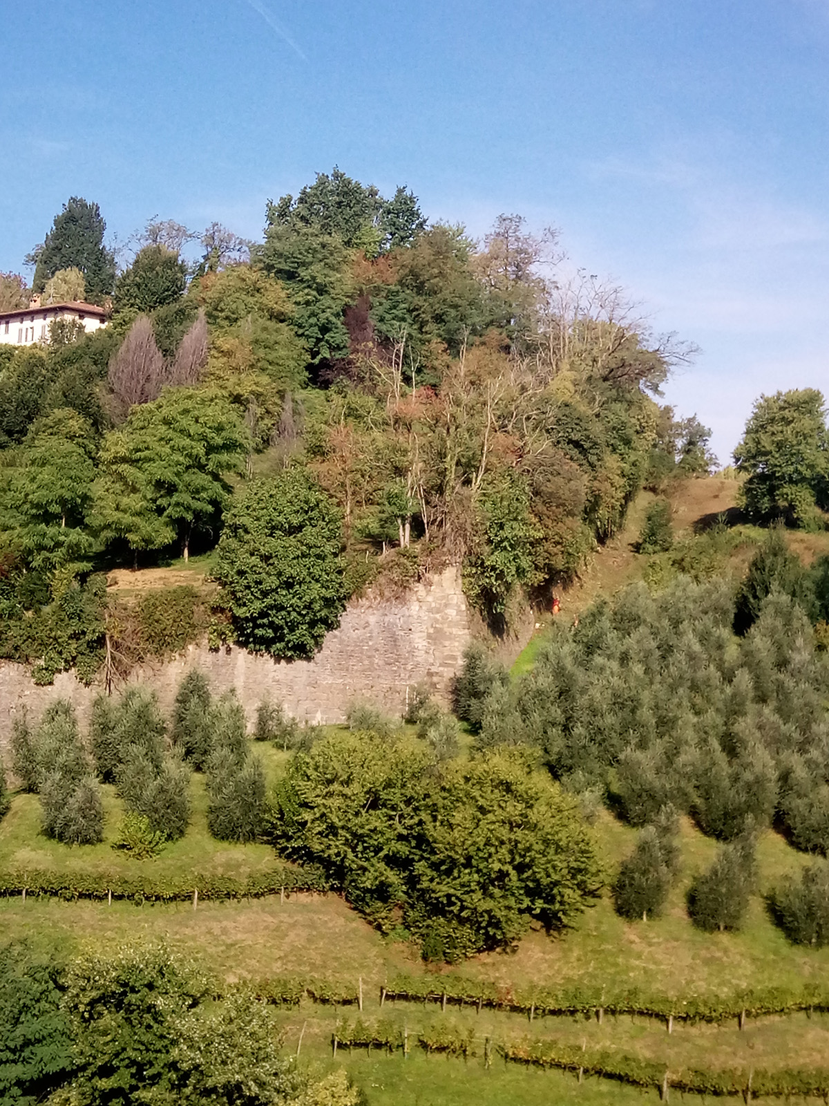 Perico-Renato-Bergamo, Città Alta - Mura venete - Restauro 17